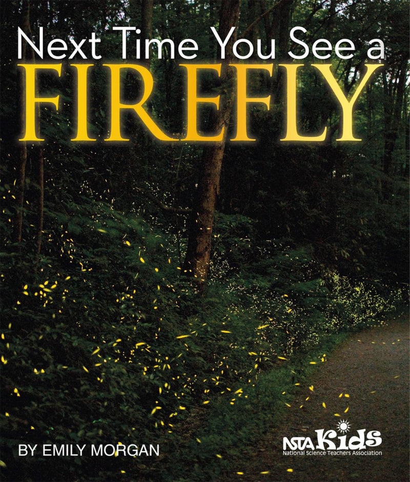 Next Time You See a Firefly (Next Time You See)