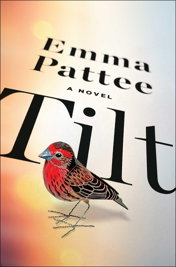 Tilt: A Novel