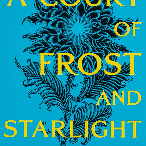 A Court of Frost and Starlight (Court of Thorns and Roses #4)